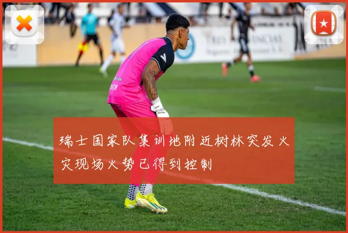 瑞士国家队集训地附近树林突发火灾现场火势已得到控制