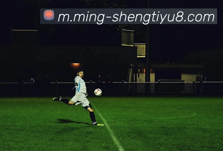 特尔希望冬窗外租热刺球员引巴黎FC与土超双雄关注